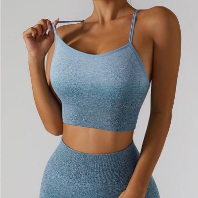 Ombre Strappy Seamless Sports Bra