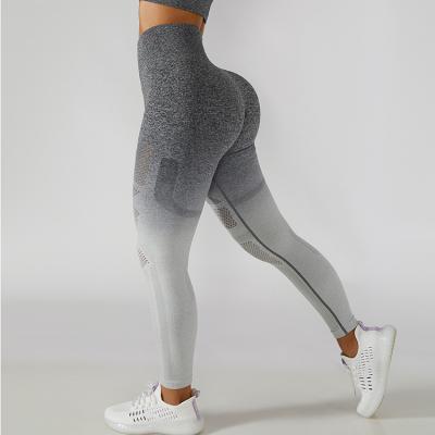 Ombre Seamless Gym Leggings