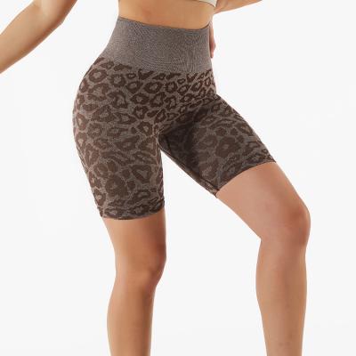 Leopard Print Seamless Tight Shorts