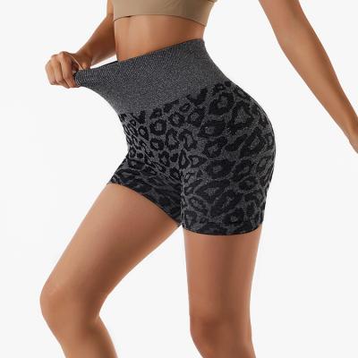 Leopard Print Seamless Gym Yoga Hot Pants