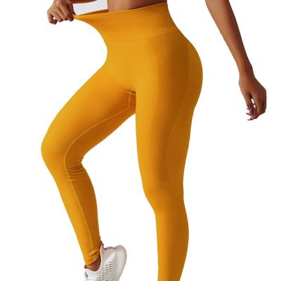 Yoga Gym Seamless Leggings