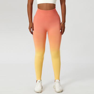 Ombre Gradient Seamless Leggings