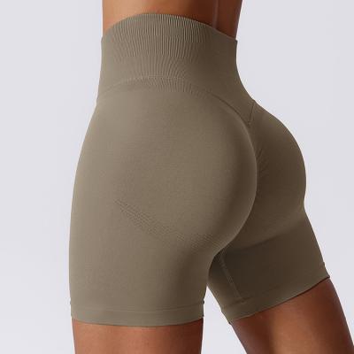 Seamless Biker Yoga Gym Shorts